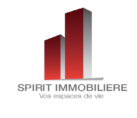 SPIRIT IMMOBILIÈRE